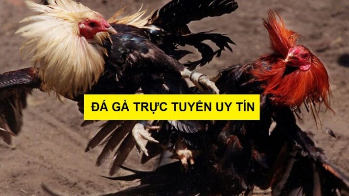 da ga online truc tiep 2