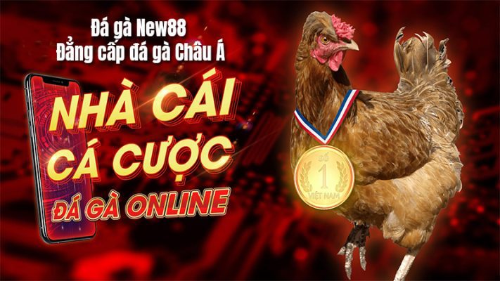 Kinh nghiệm đá gà trực tiếp thomo hôm nay 3 đá gà trực tiếp thomo hôm nay